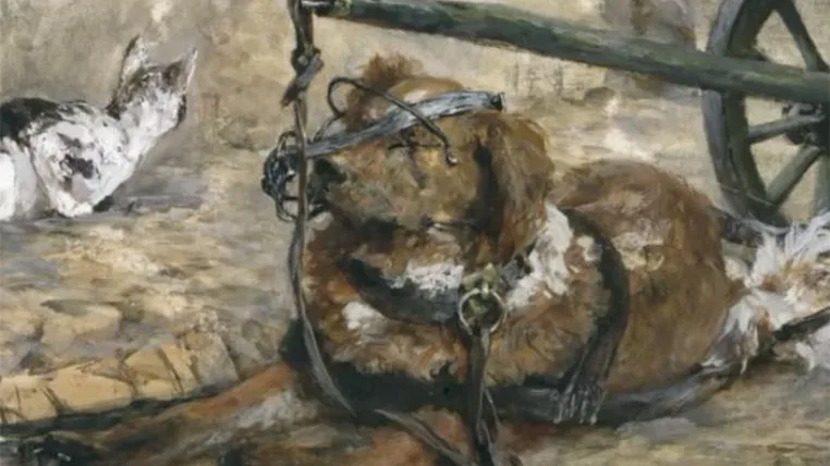 58367ff54e3693403c5877d7ab9aa304572af0bd hundeausstellung.jpg