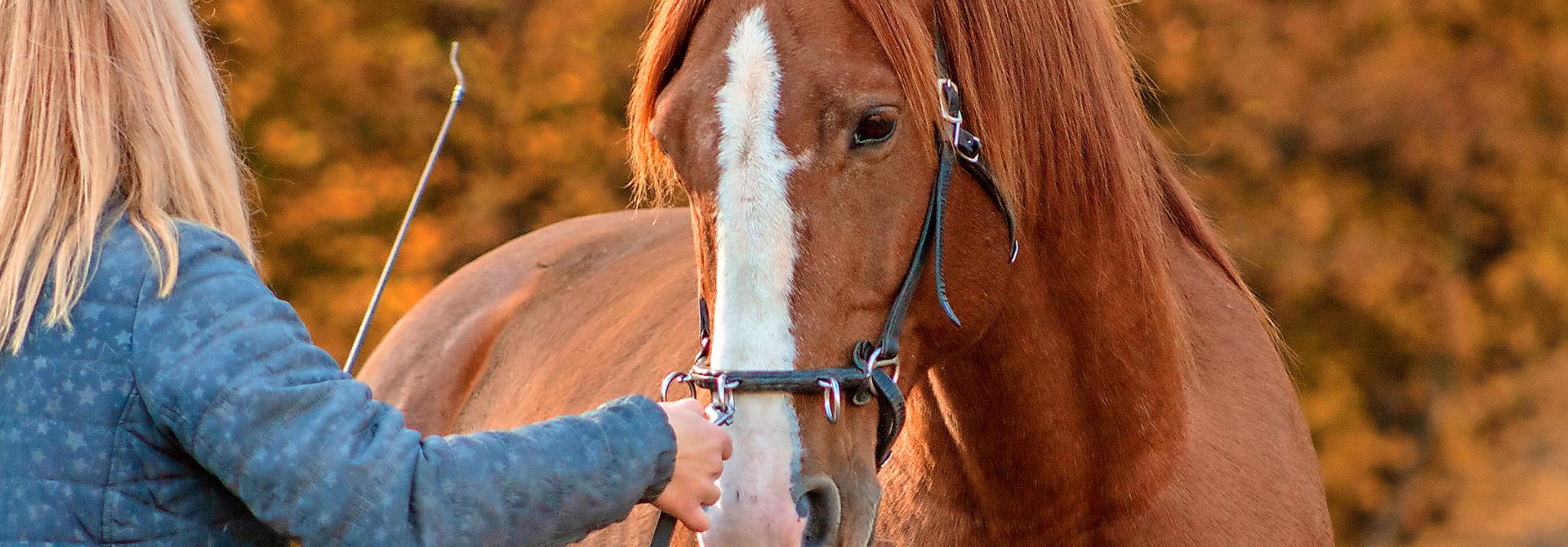Frau mit Gerte und Pferd