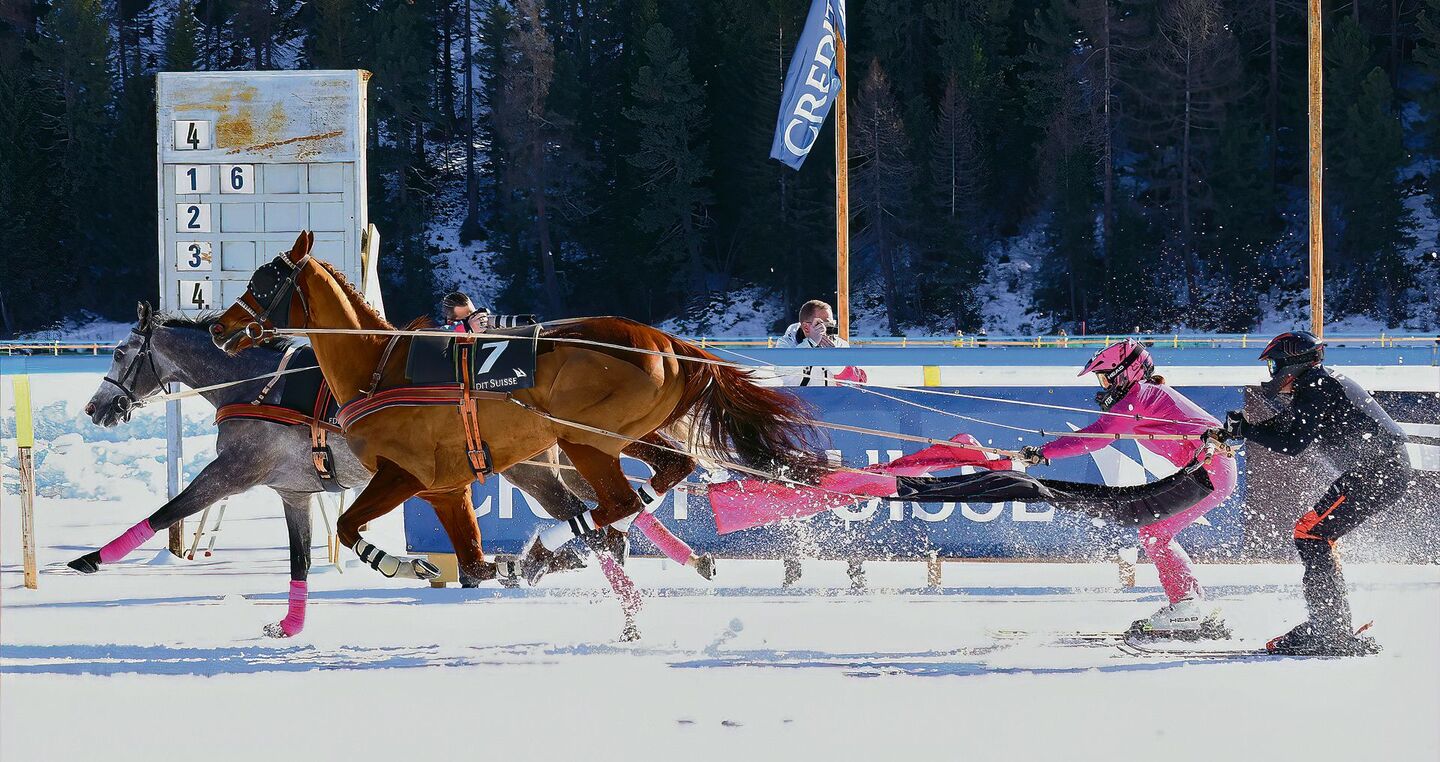 Skijöring verlangt ein Feeling für Skis und Pferde.
