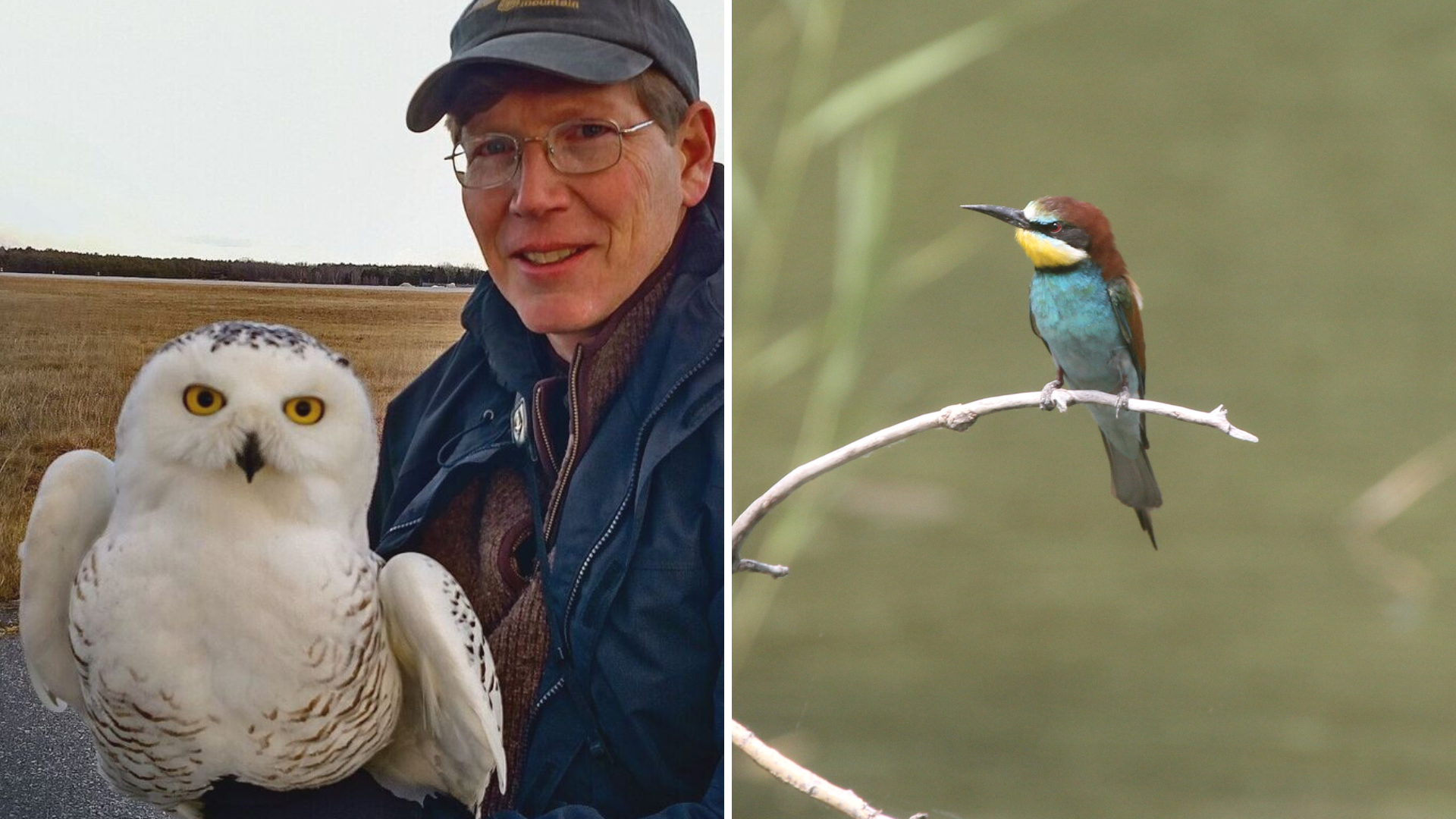 Wie Indigene viel für den Vogelschutz leisten