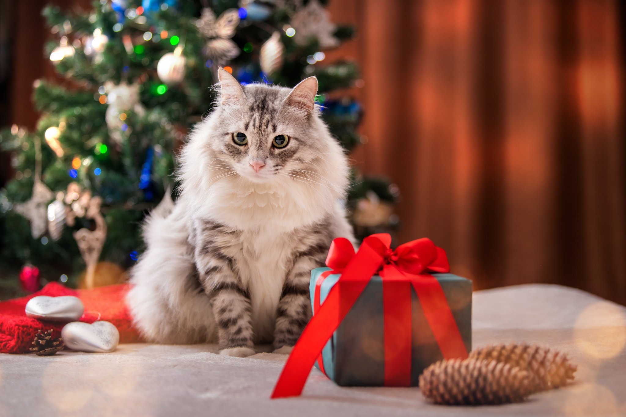 Geschenke für Natur- und Tierliebhaber