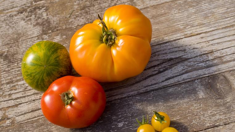 tomaten.jpg