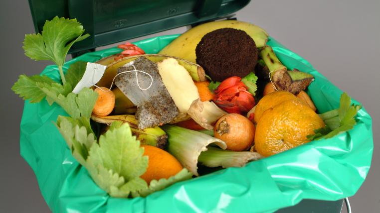 Food Waste