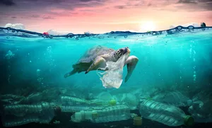 Können plastikfressende Enzyme der Plastikflut ein Ende setzen?