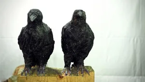 Die Ausstellung schafft auch eine Verbindung zwischen Wissenschaft und Kunst.