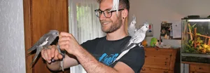 Manuel Eisenring trainiert seine Nymphensittiche.