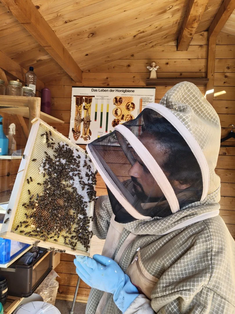 Mauro_Isler_mit_Bienenwabe___Irene_Müller Der beschwerliche Weg zum Berufsimker