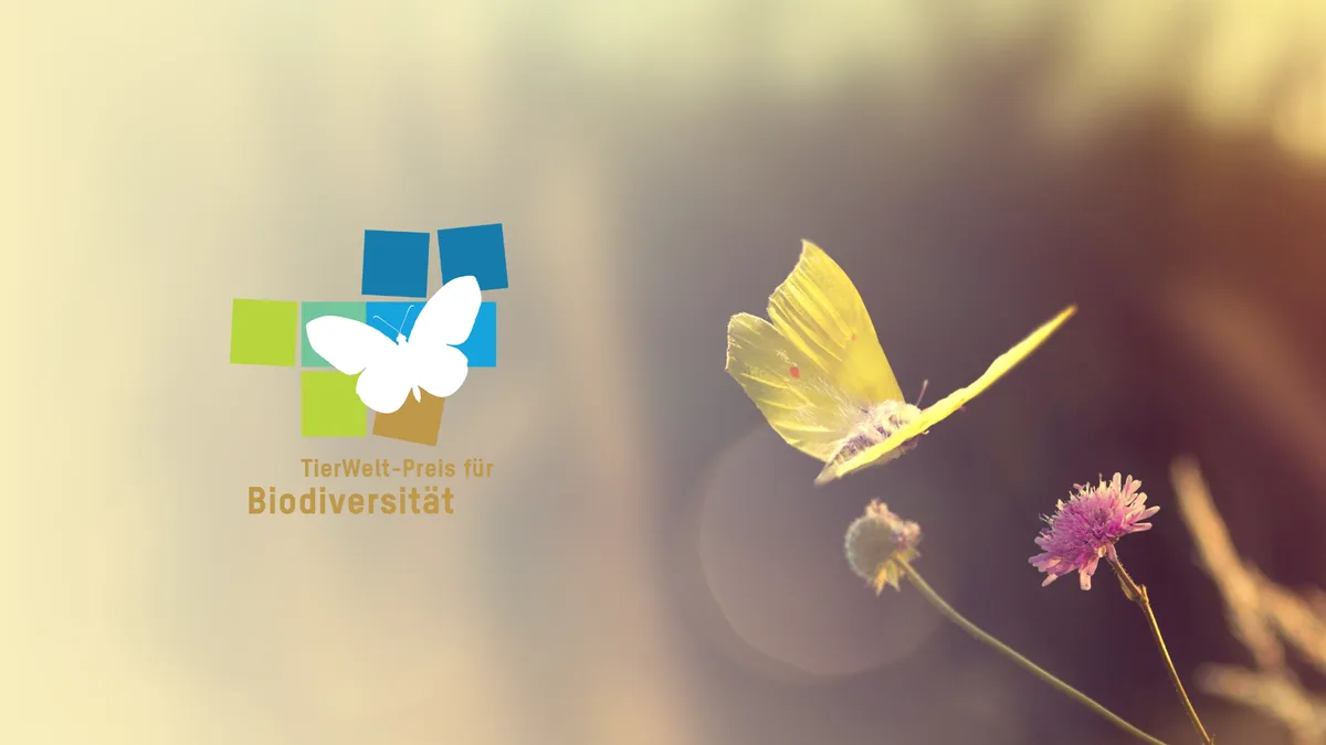 Artikelbild_TierWelt_Biodiversita__t__11_ TierWelt Preis für Biodiversität 2024