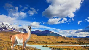 Die Naturparks in Patagonien erhalten mehr Fläche.