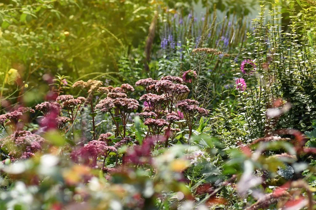 gartenherbst 1776705746