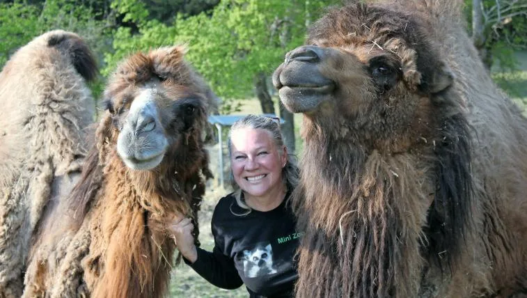 38c1e49e766101cdc6e3f5ad7df81decf7411de2 Mini Zoo Zahir