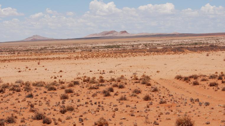 Karoo