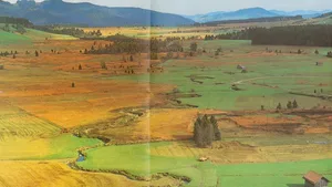 Die Vorderseite des Wahlflyers zu «JA – rettet Rothenthurm» zeigte 1987 die intakte Rothenthurmer Moorlandschaft, die es zu schützen galt.