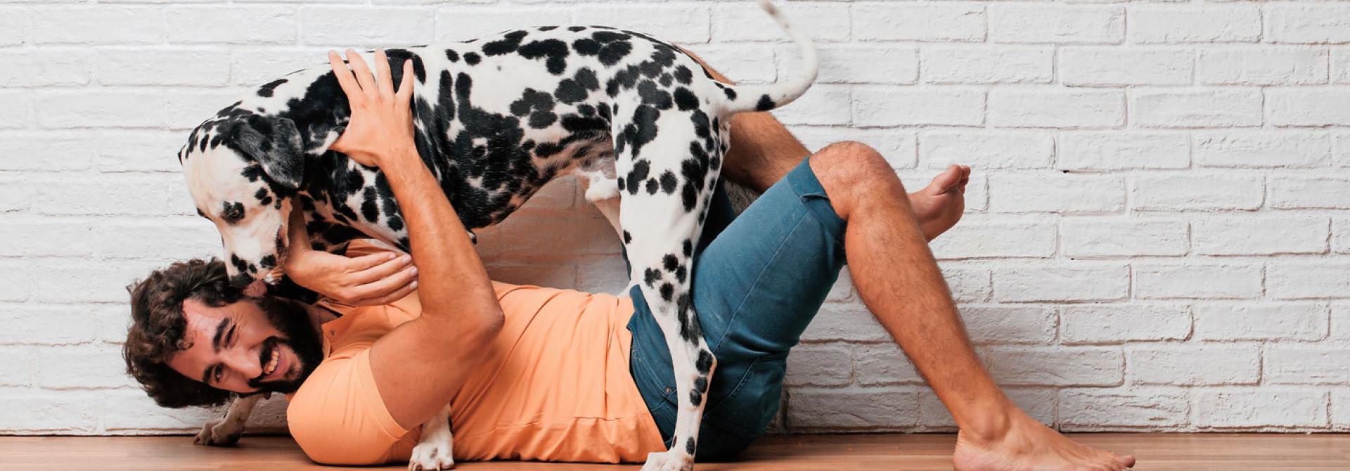 tollen-mit-hund.jpg