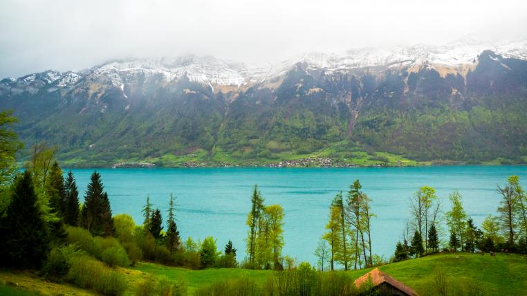 See mit Waldgebiet in der Schweiz