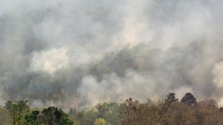 amazonas-feuer-bolivien.jpg
