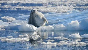 Klimawandel: Die Auswirkungen sind für Tiere und die Wirtschaft der Menschen schmerzlich spürbar.