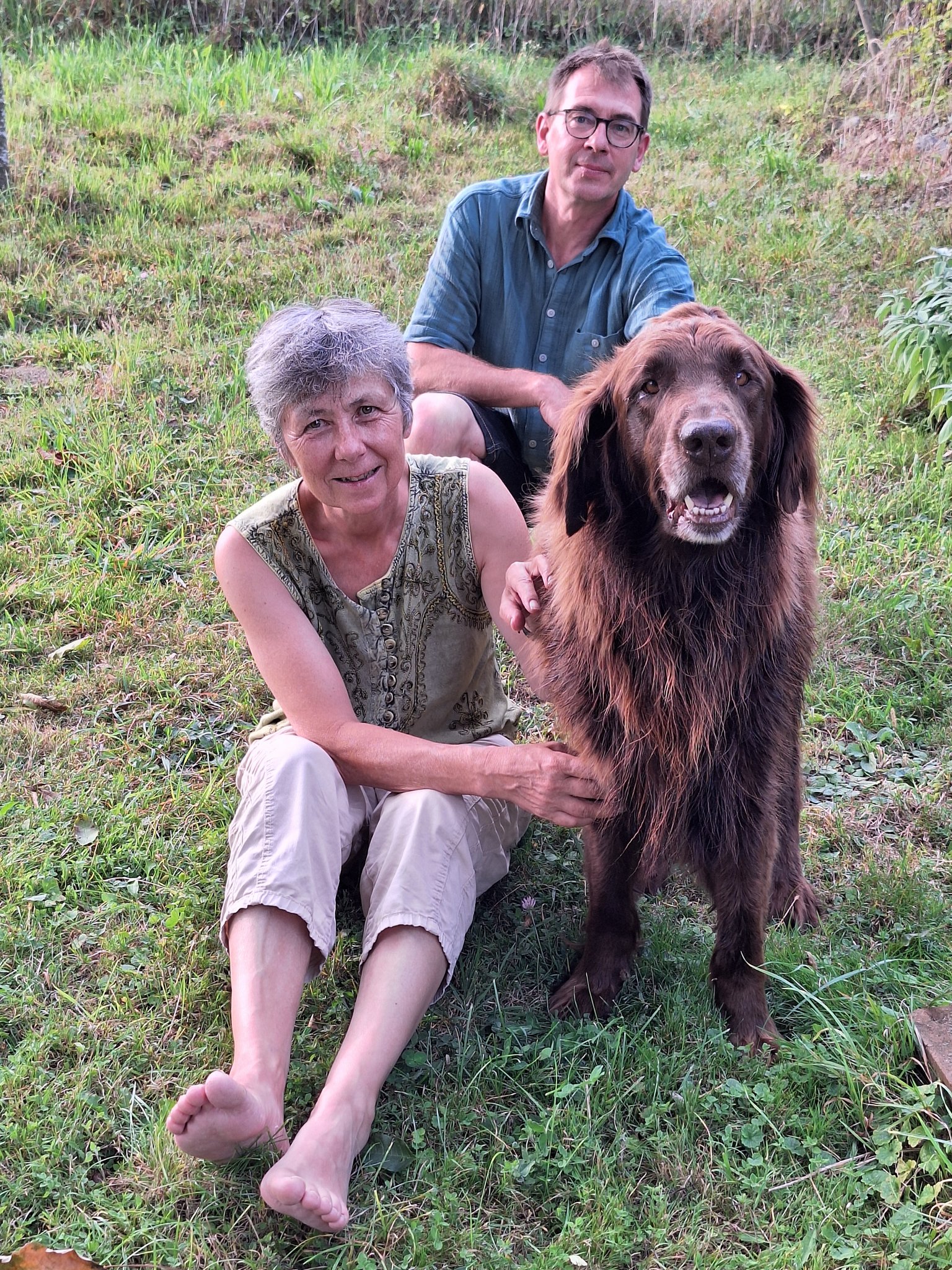 Demenz bei Hunden: Jesters Geschichte