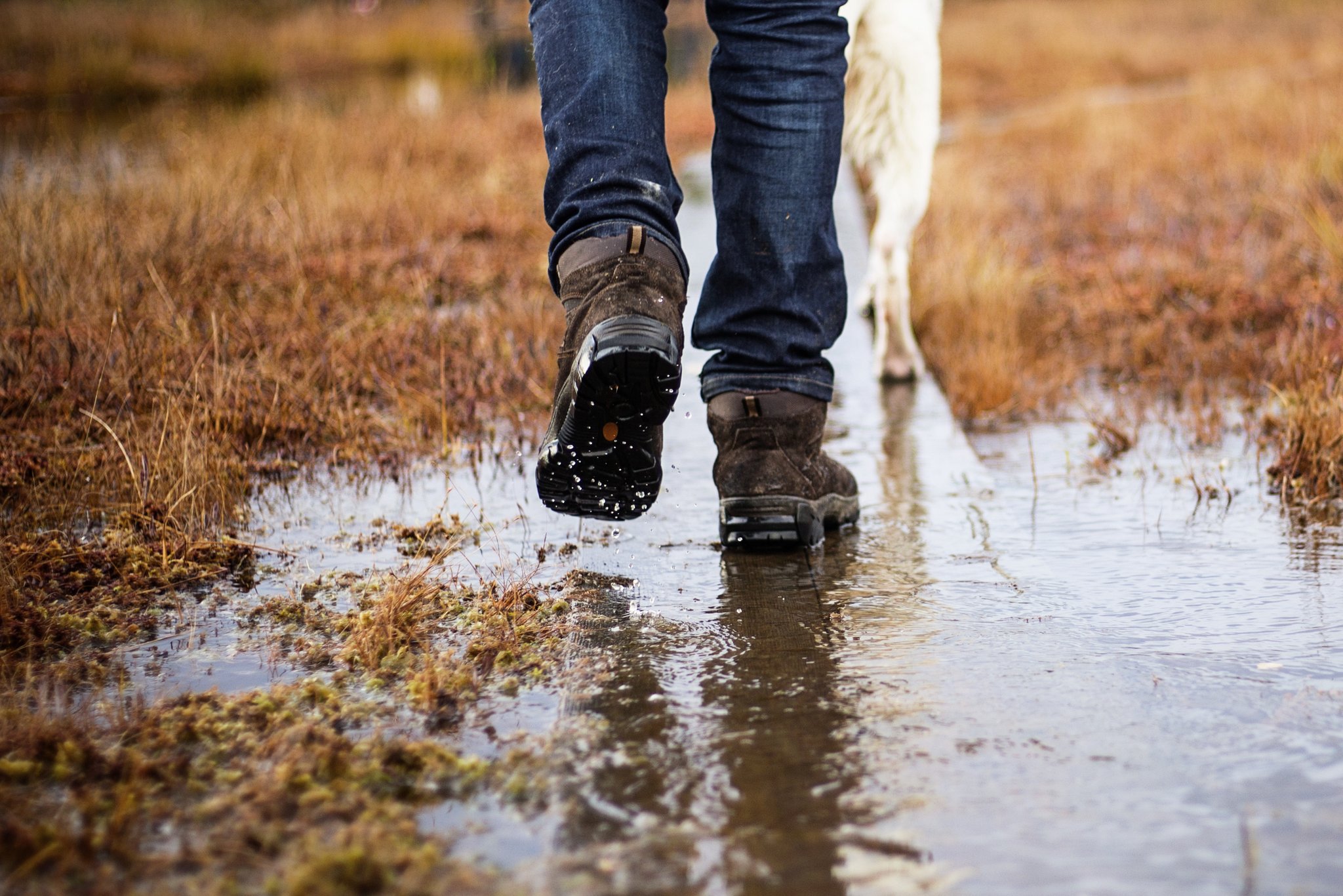 Weshalb trockener Boden Wasser schlecht aufnimmt