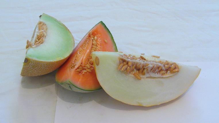melonen.jpg