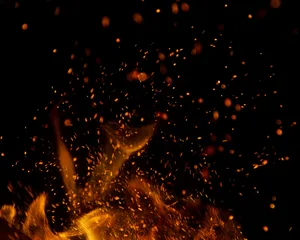 Je feuchter das Holz, desto mehr Schadstoffe entstehen beim Verbrennen.