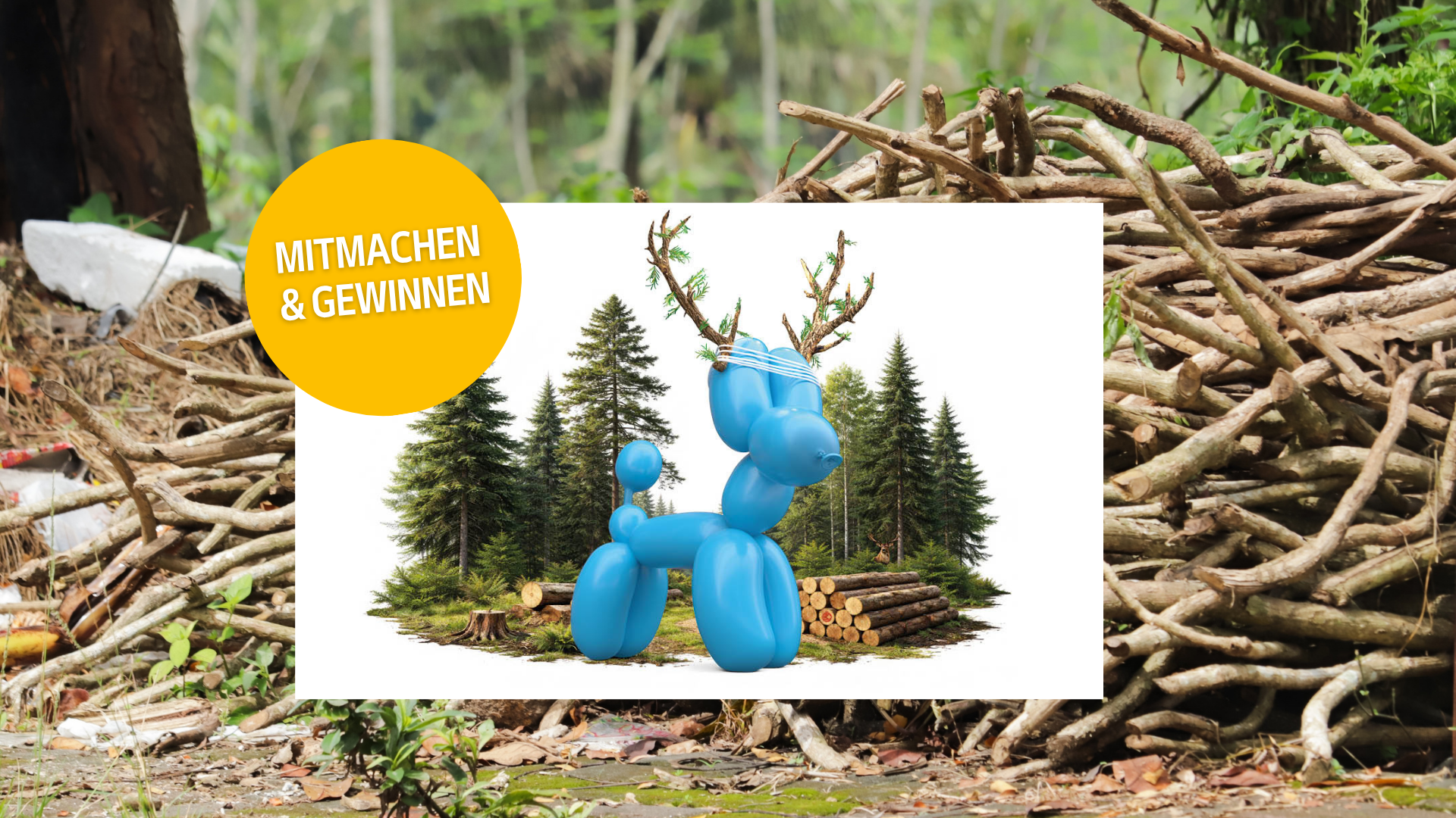 Gewinnen Sie 6 × 2 Tickets für die OHA – die Oberländische Herbstausstellung in Thun.