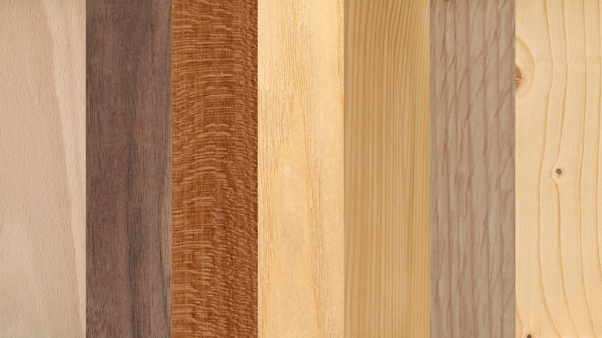 Von welchem Baum ist dieses Holz?