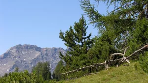Schutzgebiete – wie den Nationalpark im Bild –gibt es in der Schweiz nur wenige.