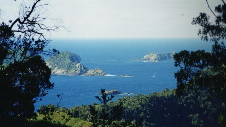 Kermadec-LawrieMead-s.jpg